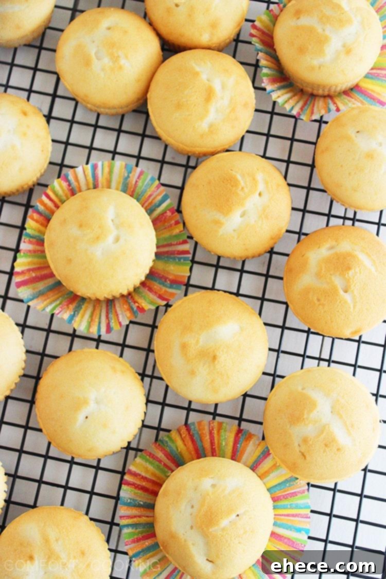 Sparkling Rosé Cupcakes 4 Pink champagne cupcakes with decorative pearls, perfect for a baby shower or gender reveal.