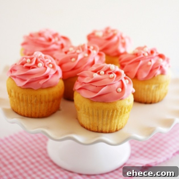 Decorative image for recipe footer