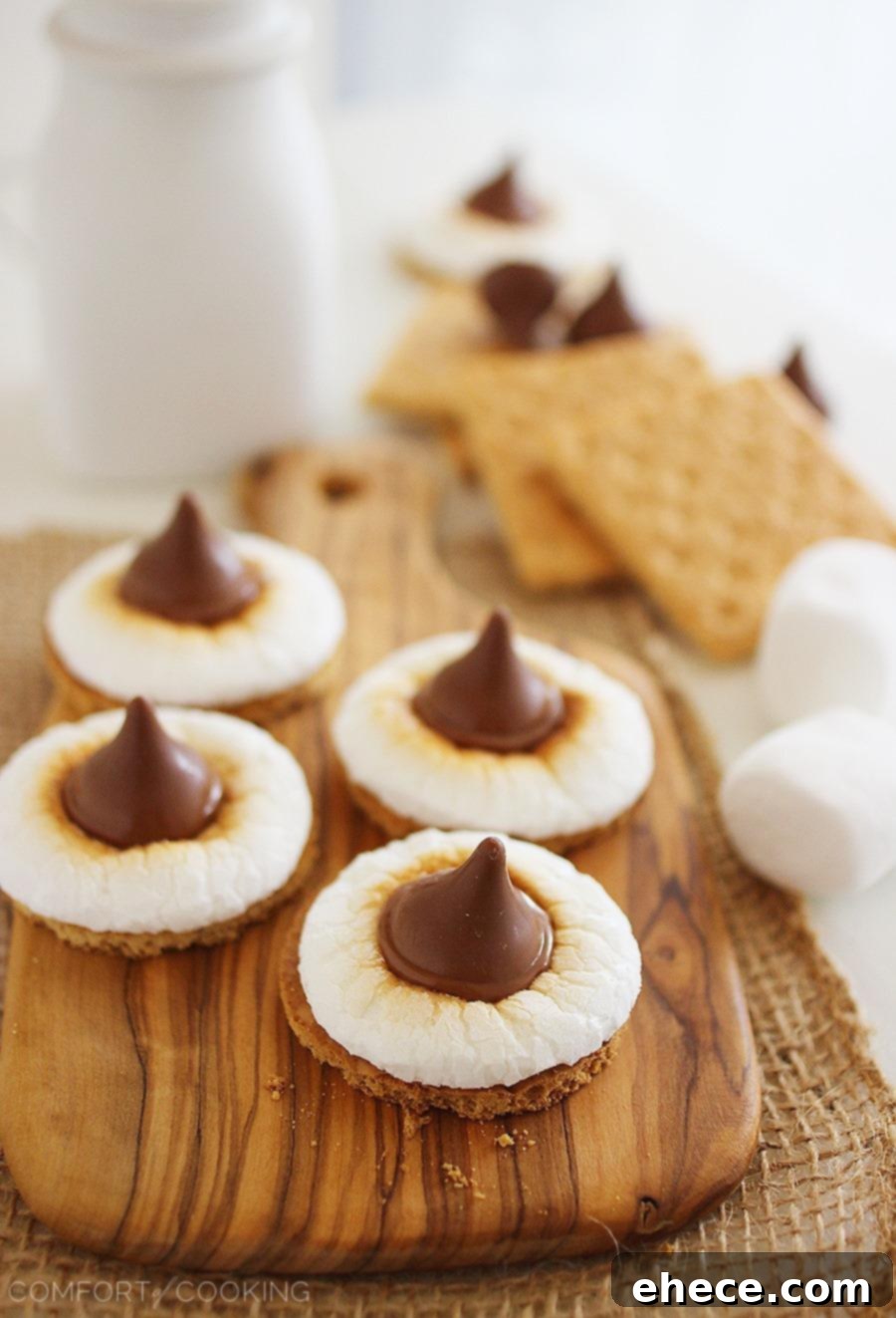 Delicious 3-Ingredient S'mores Bites arranged on a white serving platter, showing the crispy graham cracker base, golden toasted marshmallow, and melted chocolate kiss.