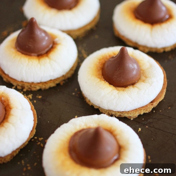 S'mores Cookie Bites featured for Pinterest sharing.