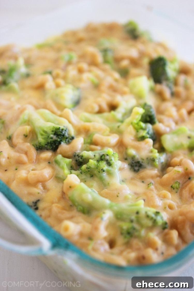 Golden-brown baked broccoli mac and cheese, bubbling in a baking dish.