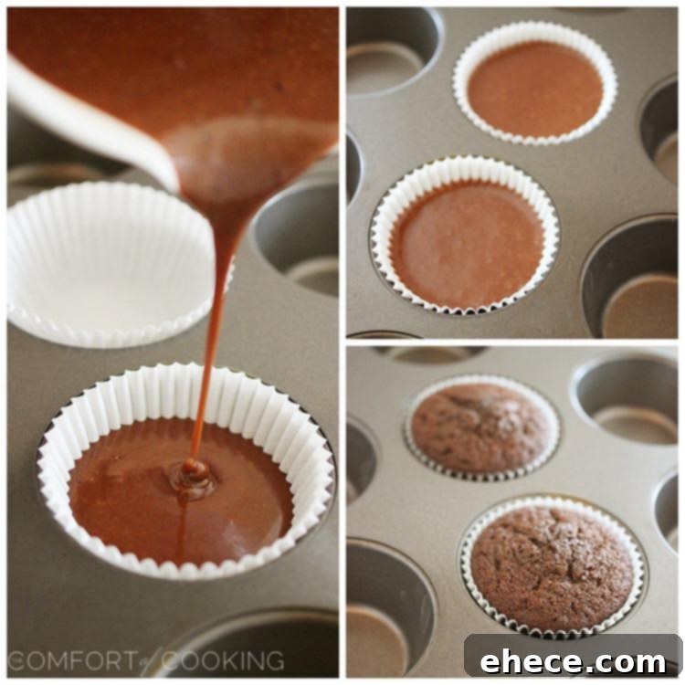 Two decadent chocolate cupcakes topped with creamy Nutella frosting and a sprinkle of chocolate shavings.