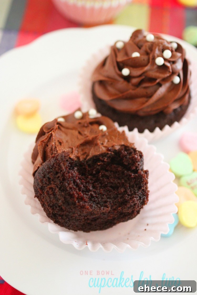 Arrangement of easy-to-make chocolate cupcakes with Nutella frosting, perfect for a treat.