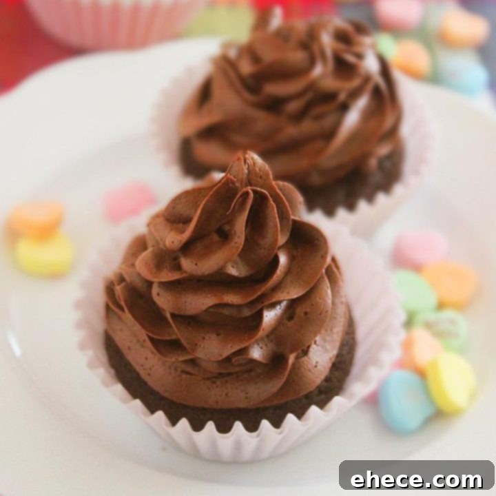 One Bowl Chocolate Cupcakes for Two, a simple and quick dessert recipe.