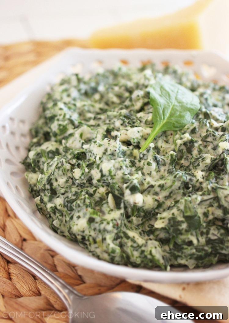 A serving of Lighter Creamed Spinach garnished with fresh parsley, presented elegantly for a gourmet meal.