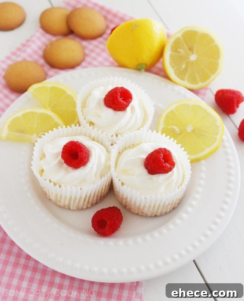 Skinny Lemon Cheesecake Cupcakes – Light, lemony cheesecake cups with Nilla wafer crust. Such a scrumptious, low-carb sweet treat everyone will love!