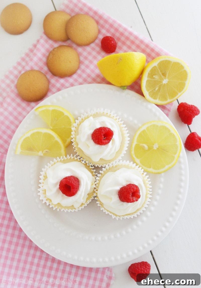 Close-up of a Skinny Lemon Cheesecake Cupcake with fresh raspberries and Cool Whip.
