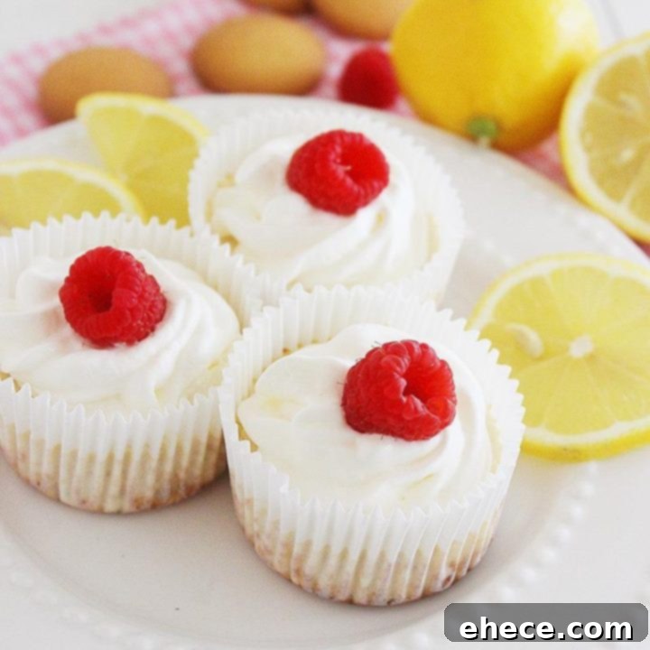 Skinny Lemon Cheesecake Yogurt Cupcakes