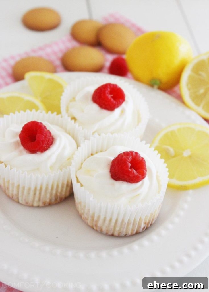 Skinny Lemon Cheesecake Cupcakes with Nilla Wafer Crust