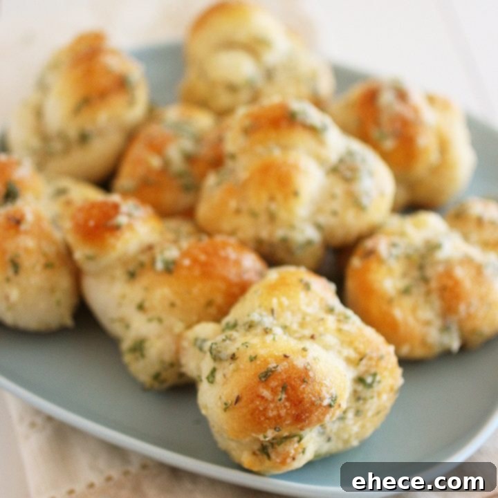Quick & Easy Garlic Parmesan Knots