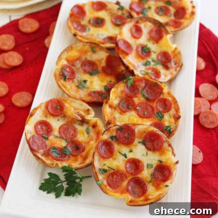 Easy Mini Tortilla Pizzas recipe image