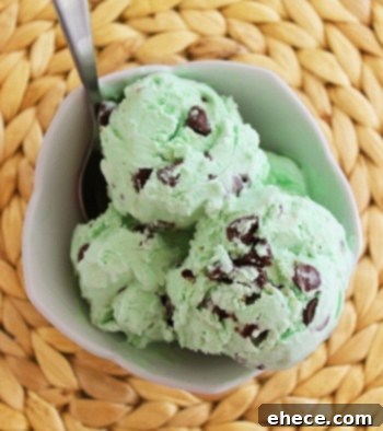 Effortless No-Churn Ice Cream 6 Irresistible Flavors 11 Refreshing Mint Chocolate Chip No-Churn Ice Cream, perfect for summer.