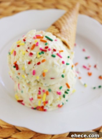 Effortless No-Churn Ice Cream 6 Irresistible Flavors 12 Colorful Funfetti Cake Batter No-Churn Ice Cream, a festive and sweet treat.