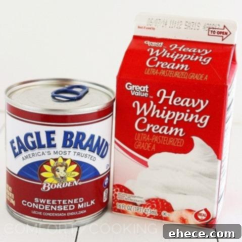 Effortless No-Churn Ice Cream 6 Irresistible Flavors 4 Ingredients for amazing no-churn ice cream: heavy cream, sweetened condensed milk, and various mix-ins for different flavors.