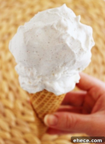 Effortless No-Churn Ice Cream 6 Irresistible Flavors 8 Single serving of Cinnamon Bun No-Churn Ice Cream, rich and inviting.