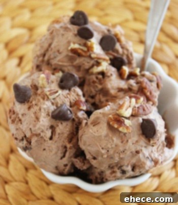 Effortless No-Churn Ice Cream 6 Irresistible Flavors 9 Delicious Double Chocolate Pecan No-Churn Ice Cream, a rich and nutty frozen treat.