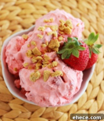 Effortless No-Churn Ice Cream 6 Irresistible Flavors 10 Homemade Strawberry Cheesecake No-Churn Ice Cream with graham cracker crumbs.