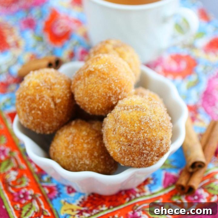 Baked Apple Cider Donut Holes
