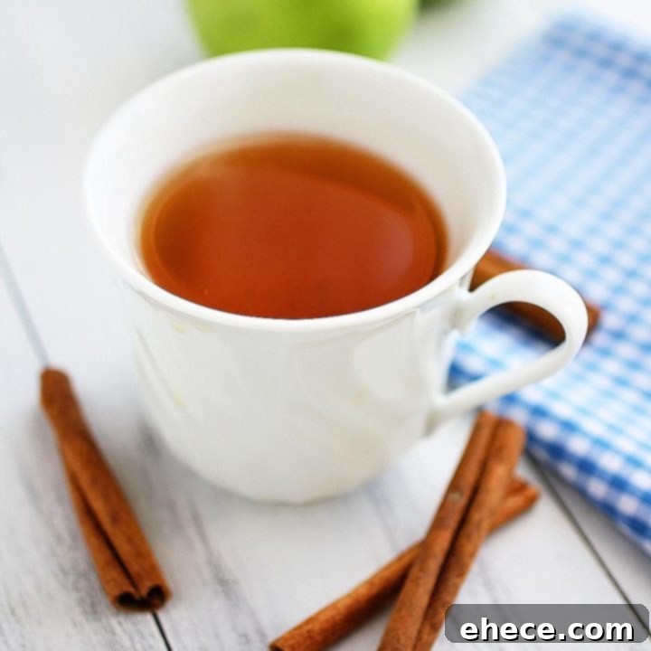 Mulled Apple Elixir 2 Warm Spiced Apple Cider in a Mug