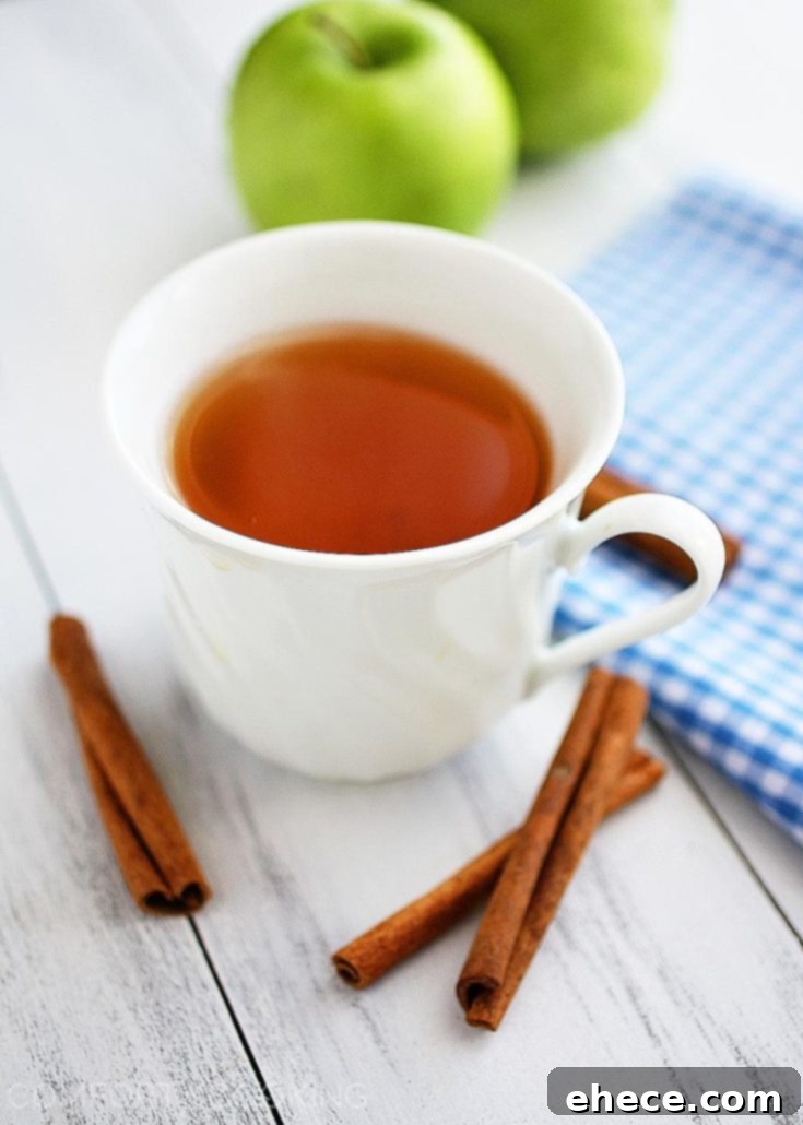 Hot Apple Cider in a mug with cinnamon stick and orange slice