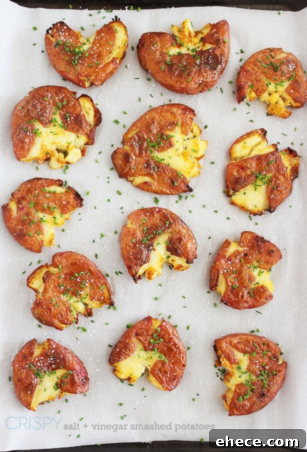 Salt & Vinegar Crispy Smashed Spuds 2 Crispy Salt and Vinegar Smashed Potatoes – Serve these super crispy, tangy potatoes on the side of your favorite grilled meats for a scrumptious meal!