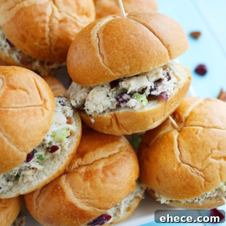 Delicious Sonoma Chicken Salad with Pecans and Cranberries