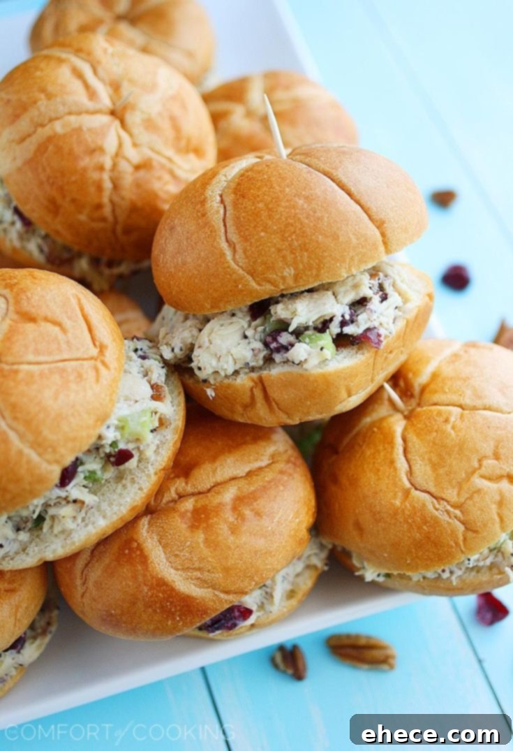 Sonoma Chicken Salad served on a sandwich