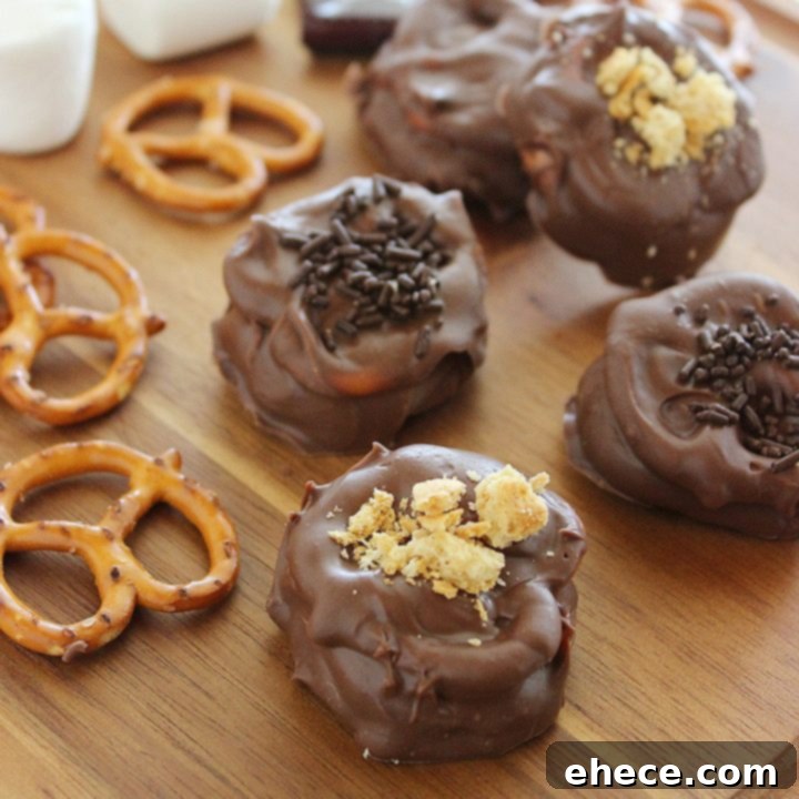 Sweet & Salty S'mores Pretzel Delights 7 Quick & Easy Chocolate Covered S’mores Pretzels