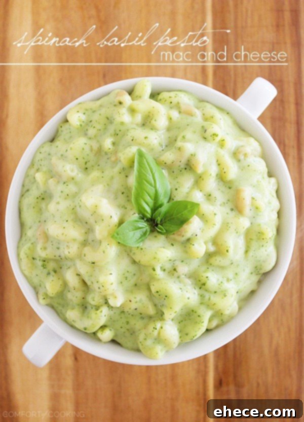 Vibrant Stovetop Spinach Basil Pesto Mac and Cheese 5 Stovetop Spinach Basil Pesto Mac and Cheese – Try this fresh take on traditional creamy, gooey macaroni and cheese... with basil pesto! It’s so delicious!| thecomfortofcooking.com
