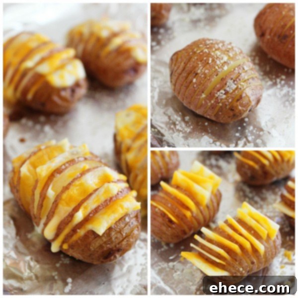 Crispy Loaded Hasselback Potato Bites – Dig in to these cheesy, crispy loaded Hasselback potatoes made mini! They make perfect game day food, or a fun weeknight side. | thecomfortofcooking.com