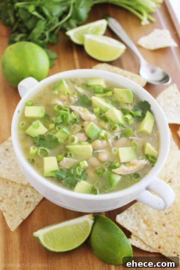 Easy Salsa Verde White Chicken Chili – Just 6 ingredients and so easy! Cook it on your stovetop or in your slow cooker, then pile on your favorite toppings!
