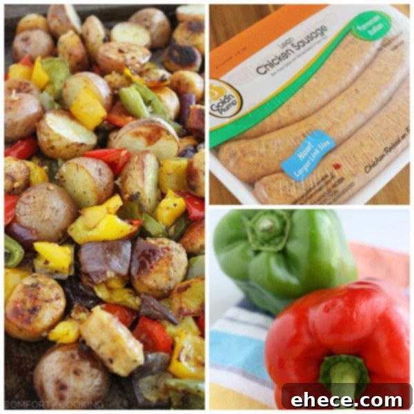 A second view of the roasted chicken sausage and vegetable medley, showcasing the rich colors and perfectly cooked ingredients.