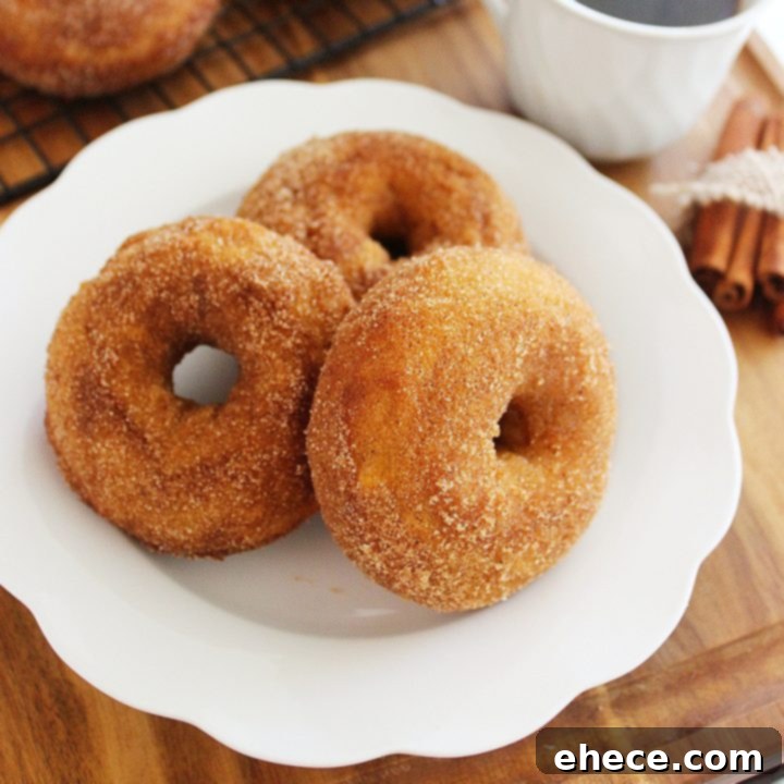 Cinnamon Sugar Pumpkin Spice Donuts 2 Cinnamon-Sugar Spiced Pumpkin Pie Donuts - A stack of freshly baked pumpkin donuts coated in cinnamon sugar, ready to be enjoyed.