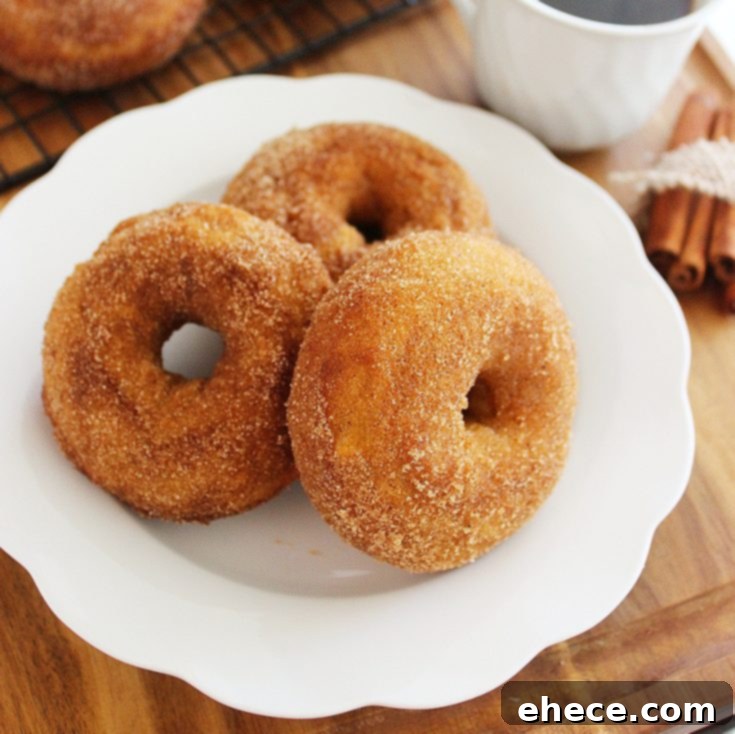 Close-up of a pumpkin donut with cinnamon sugar topping on a rustic background.