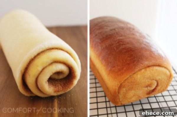 Close-up of the cinnamon swirl inside a loaf of homemade bread, showing the sweet, spiced layers baked to perfection.