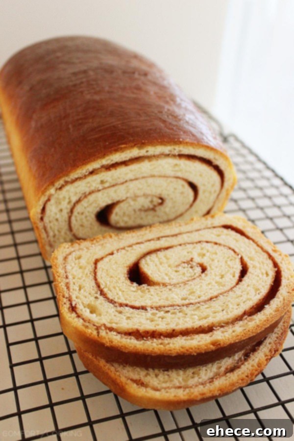A close-up shot of a single slice of Soft Cinnamon Swirl Bread, revealing the distinct layers of cinnamon sugar within the soft dough, ready to be eaten.