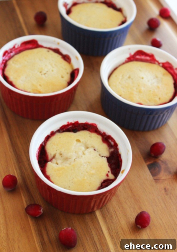 Close-up of freshly baked mini cranberry cobbler with a golden-brown, fluffy topping, ready to be served.