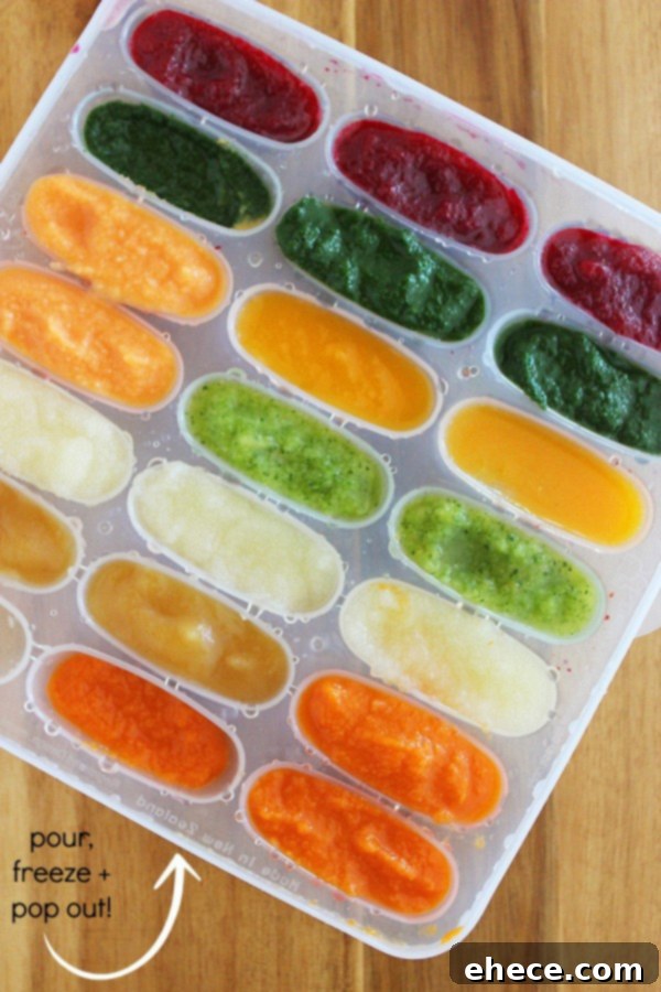 Close-up of baby food preparation tools, including a food steamer, food processor, and measuring cup, essential for making homemade purees.