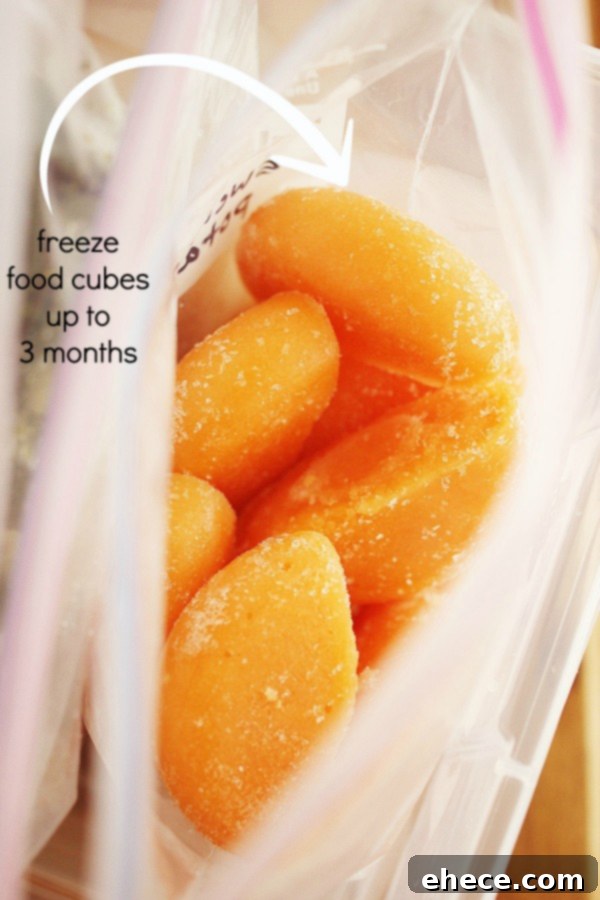 Ingredients for homemade baby food purees laid out on a kitchen counter, including fresh sweet potatoes, squash, beets, carrots, zucchini, spinach, pears, and apples.