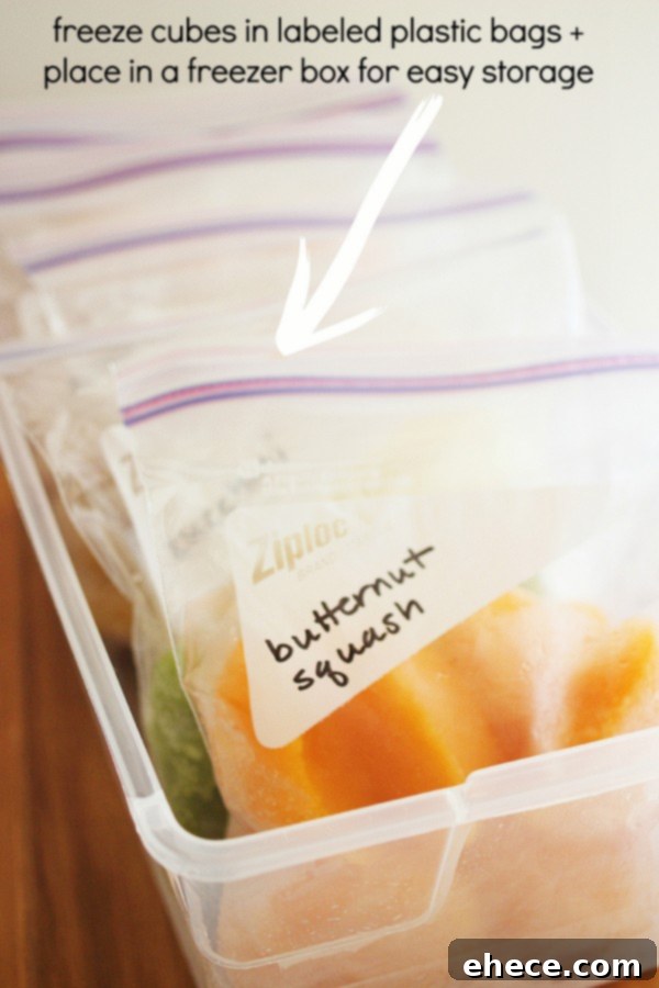A selection of frozen homemade baby food cubes in freezer trays and plastic bags, showcasing organized storage of various purees.