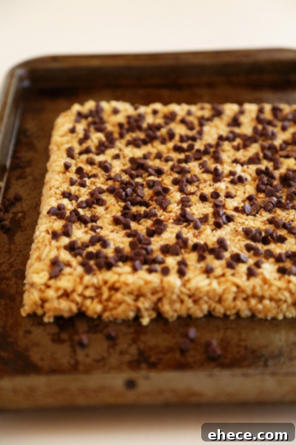 No-Bake Chewy Chocolate Chip Granola Bars - Crispy, chewy homemade granola bars are easy, healthy and perfect for snacks on the go! | thecomfortofcooking.com