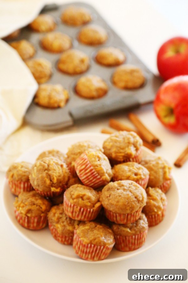 Apple Cinnamon Sweet Potato Mini Muffins - Soft whole wheat muffins with fresh sweet potato and apple bake up a delicious, healthy breakfast! | thecomfortofcooking.com
