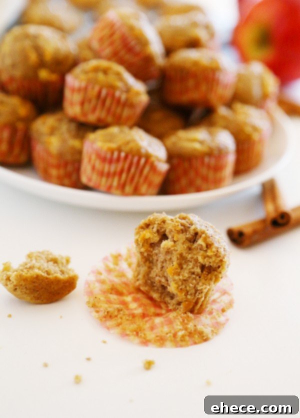 Apple Cinnamon Sweet Potato Mini Muffins - Soft whole wheat muffins with fresh sweet potato and apple bake up a delicious, healthy breakfast! | thecomfortofcooking.com
