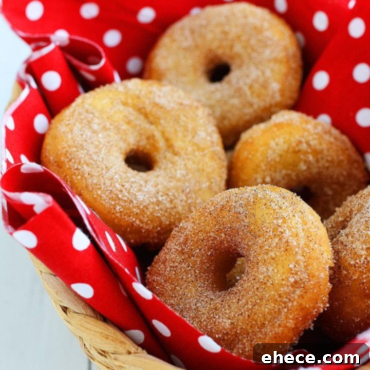 Oven Fresh Cinnamon Sugar Delights 2 Baked Cinnamon Sugar Doughnuts