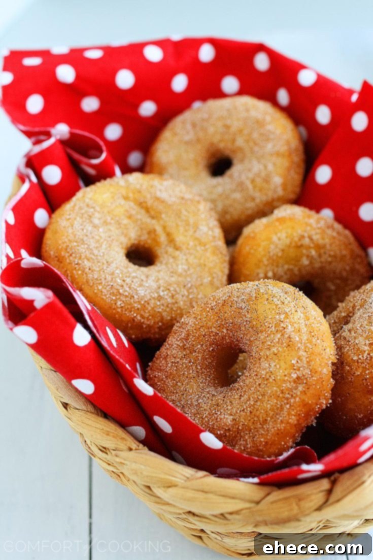 Delicious Baked Cinnamon Sugar Doughnuts ready to eat