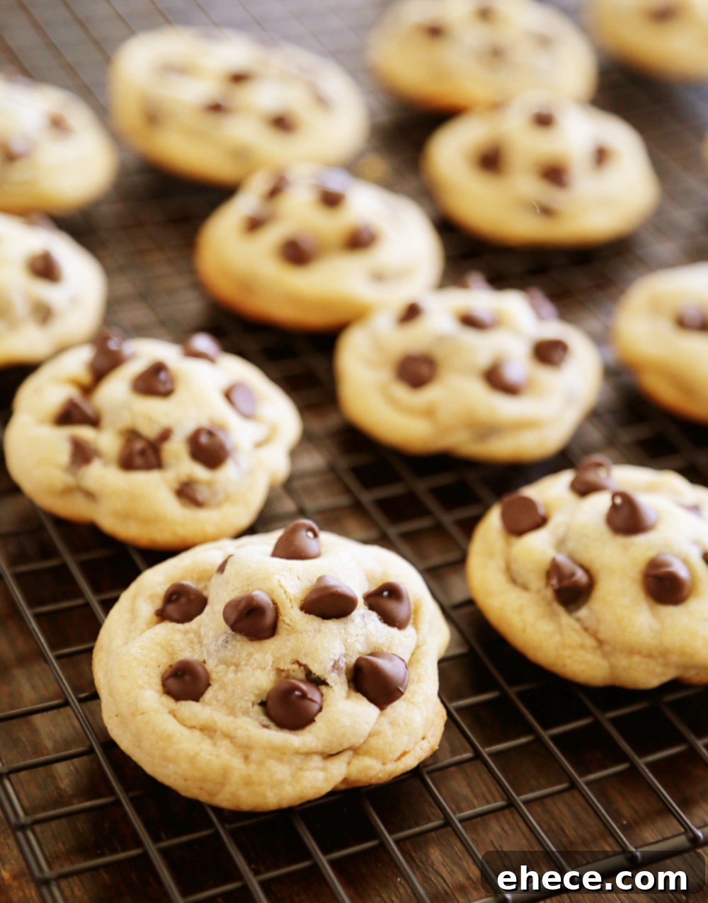 Close-up of freshly baked Sea Salt Caramel Chocolate Chip Cookies, showing their soft texture and golden edges