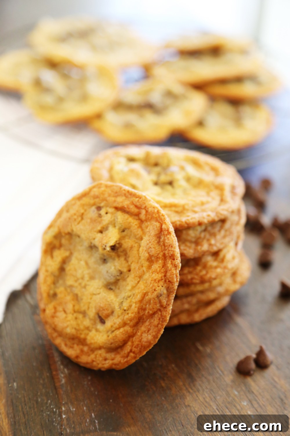 Plate of freshly baked thin and chewy chocolate chip cookies ready to be served. TheComfortofCooking.com