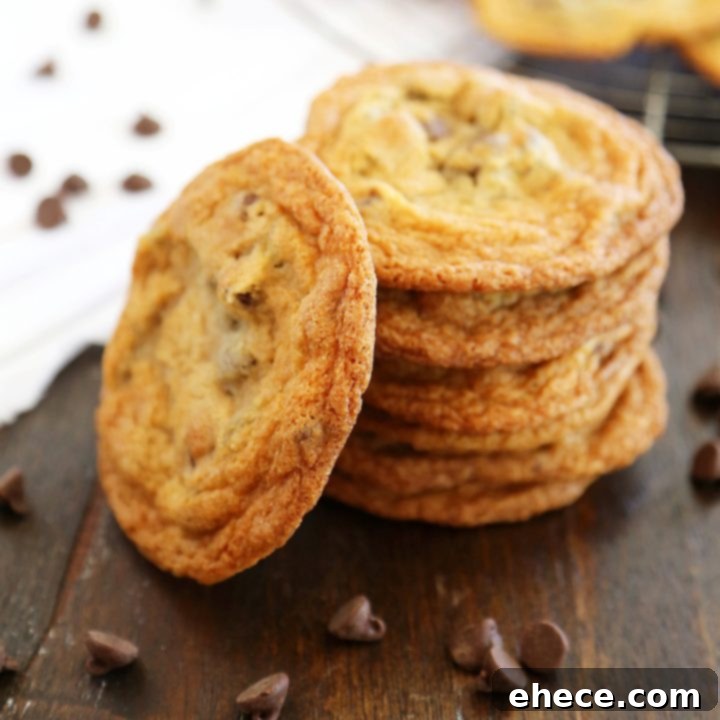 Main image for Thin and Chewy Chocolate Chip Cookies recipe