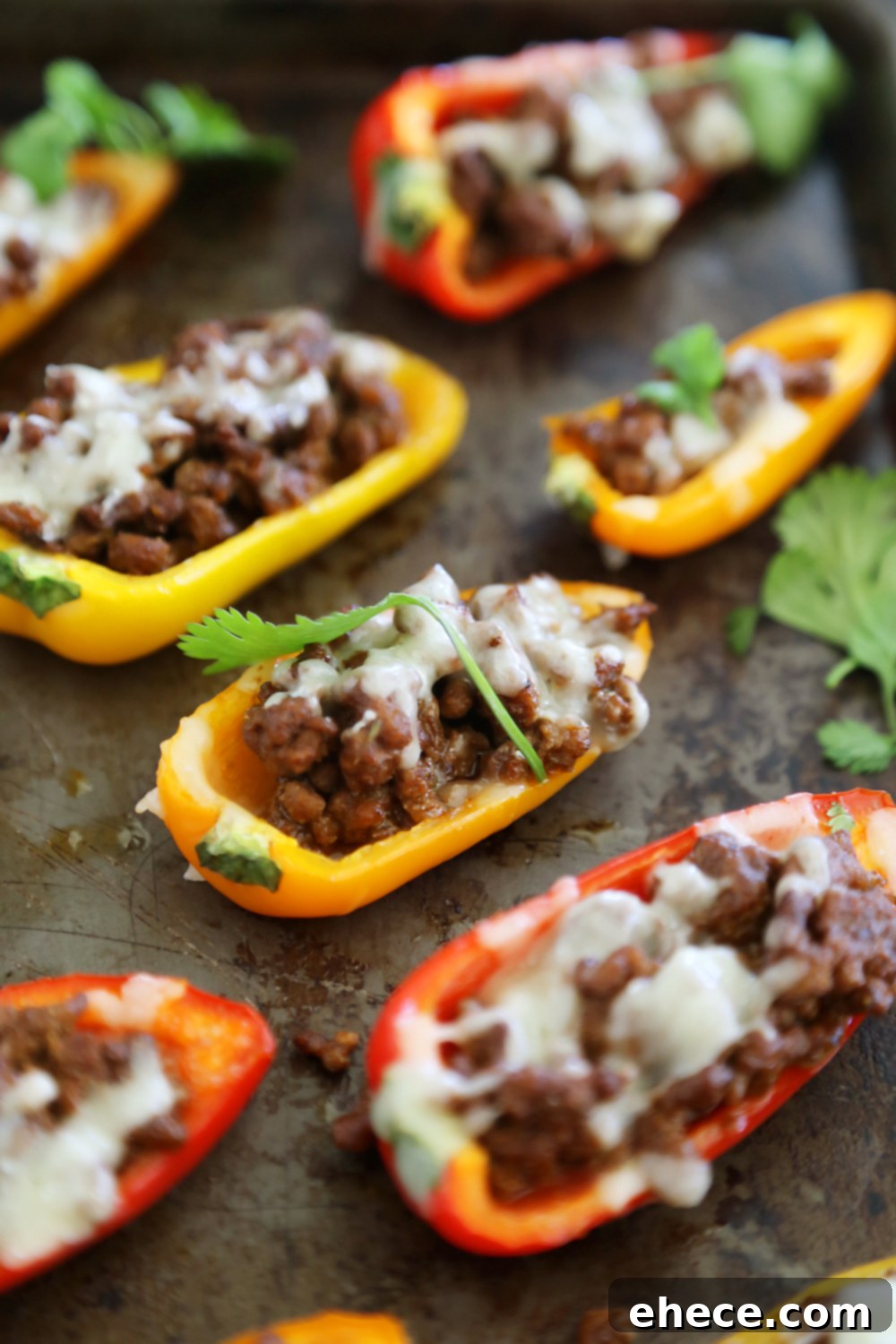 Overhead shot of Mini Taco Stuffed Peppers with Cilantro Cream Sauce, garnished and ready to serve.