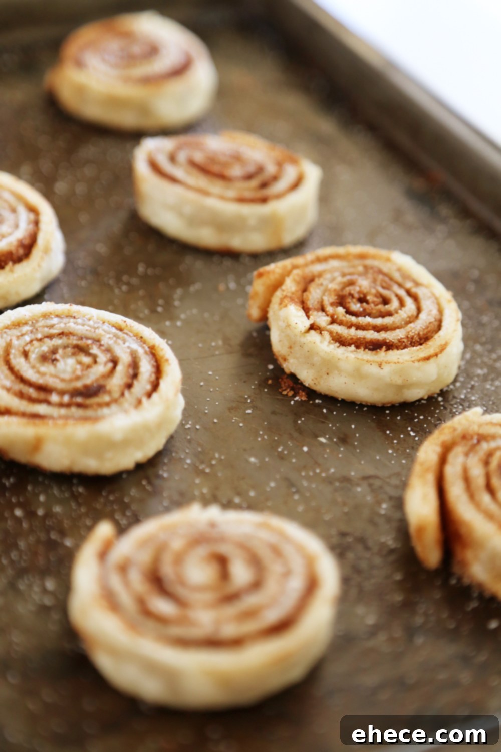 Irresistible 3-Ingredient Cinnamon Sugar Pie Crisps 4 3-Ingredient Cinnamon Sugar Pie Crust Cookies - The ultimate comfort cookie and full of soft, buttery cinnamon-sugar flavor! Thecomfortofcooking.com